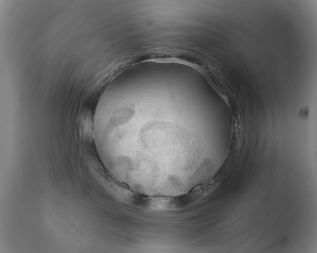 X0000110670143200906261306