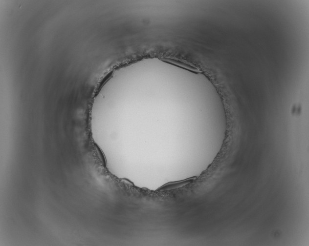 X0000110670144200906261306