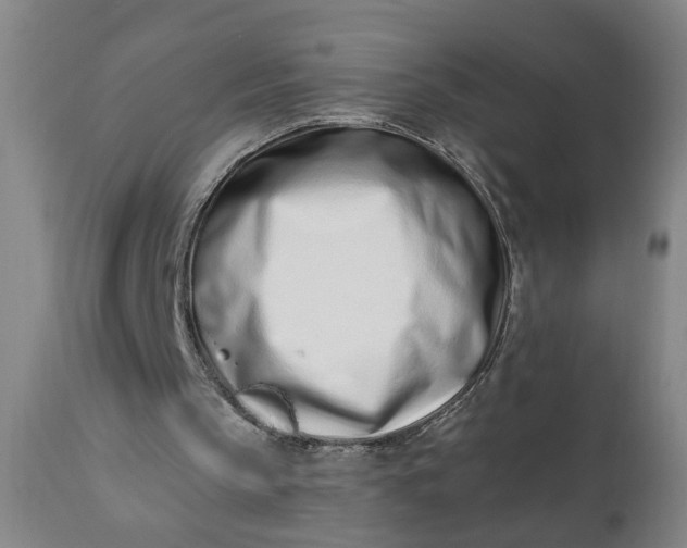 X0000110670145200906261305