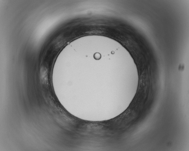 X0000110670146200906261305