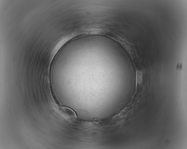 X0000110670147200906261305