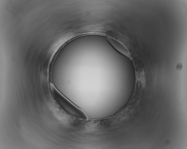 X0000110670148200906261305