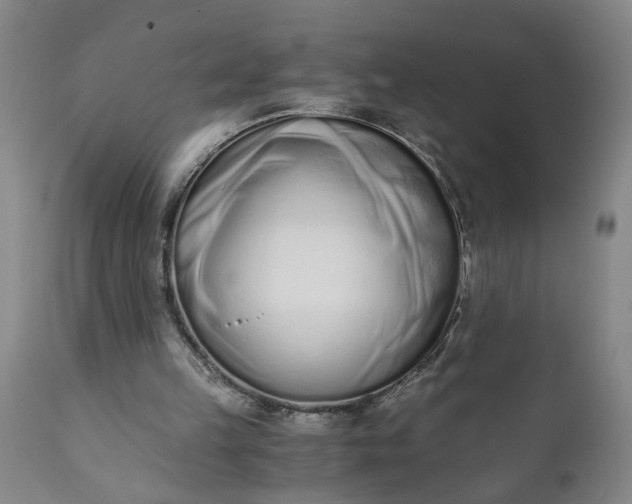 X0000110670149200906261305