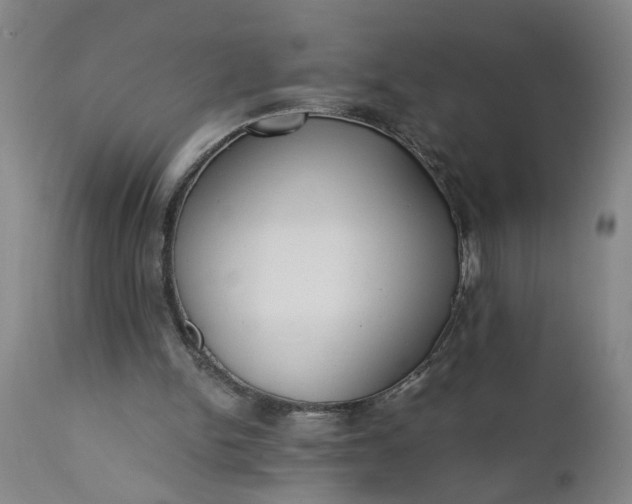 X0000110670150200906261305