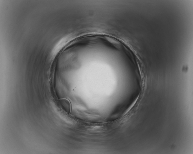 X0000110670151200906261305