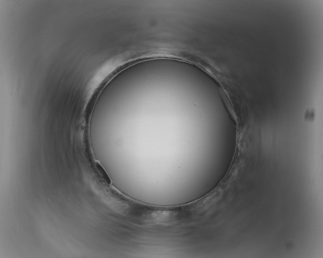X0000110670152200906261305