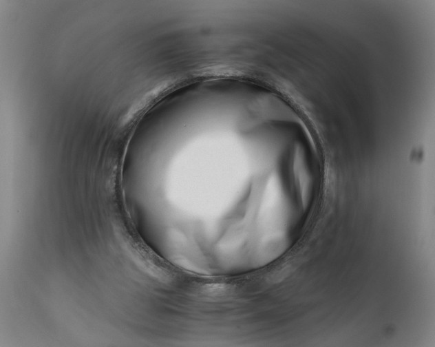 X0000110670153200906261305
