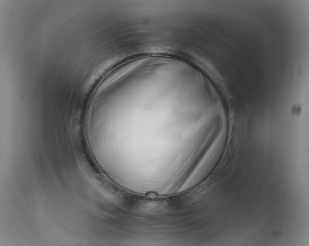 X0000110670155200906261305
