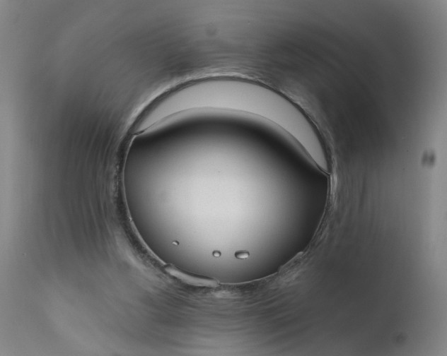 X0000110670156200906261305