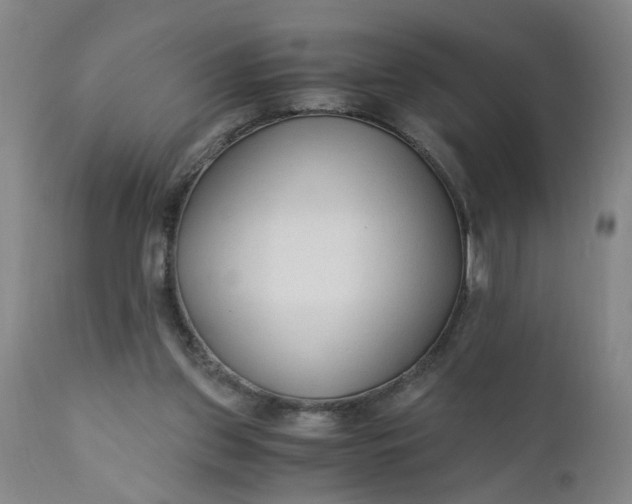 X0000110670157200906261305