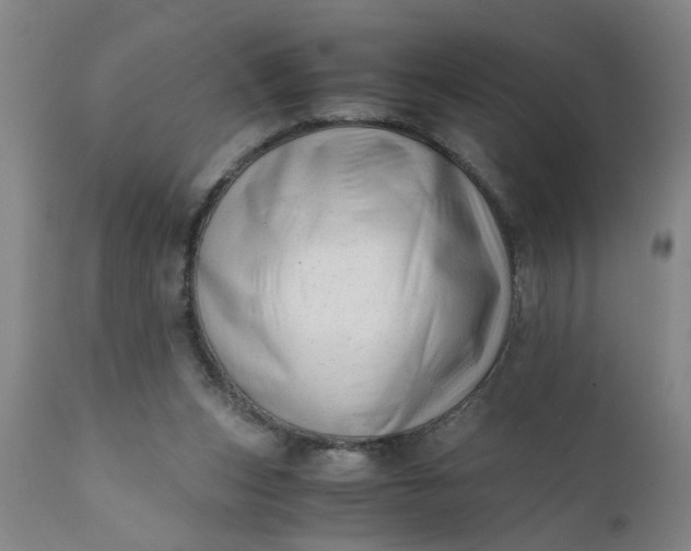 X0000110670159200906261305