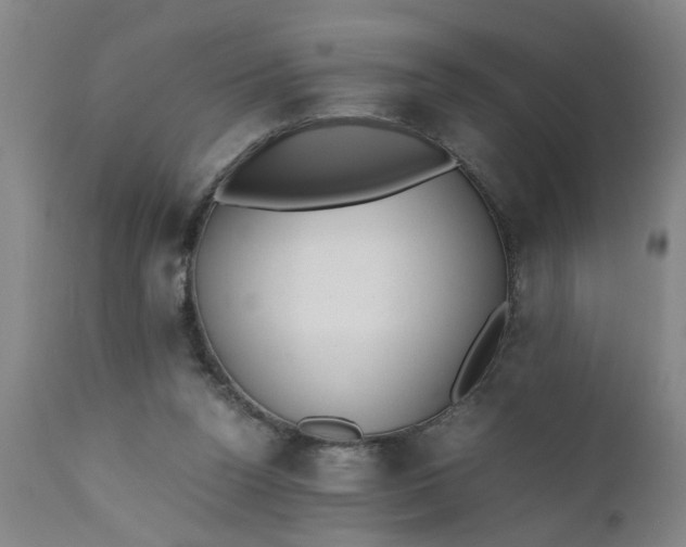 X0000110670160200906261305