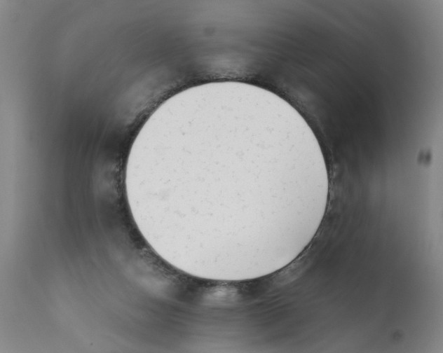 X0000110670162200906261305