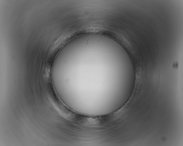 X0000110670166200906261305