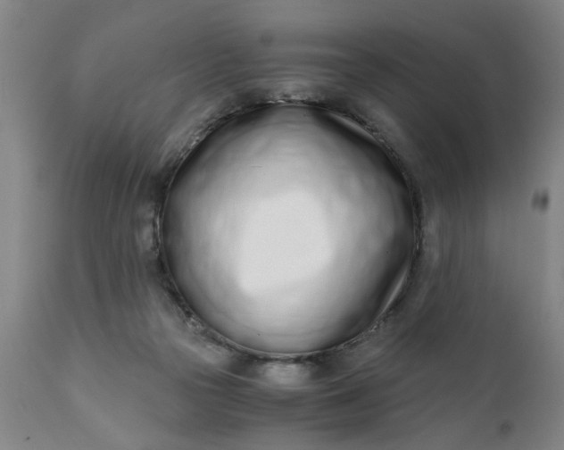 X0000110670169200906261305