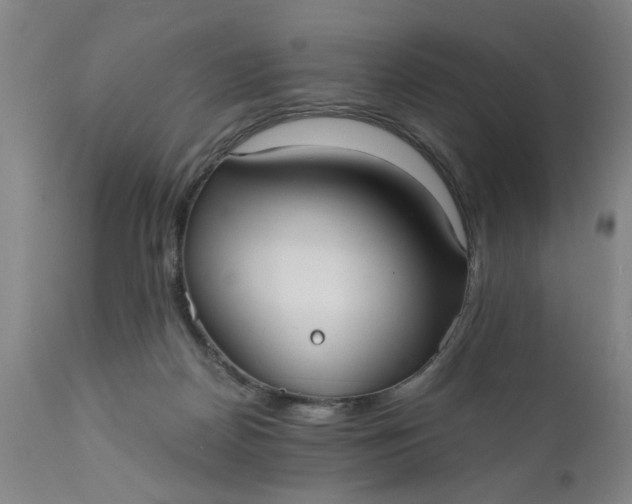 X0000110670170200906261305