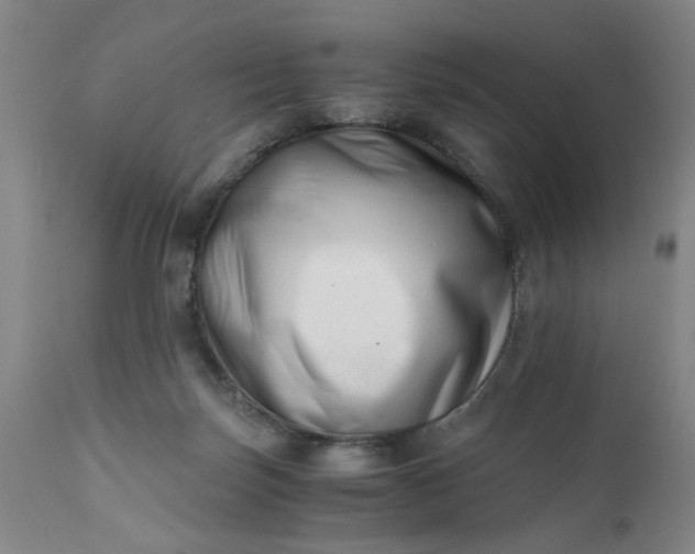 X0000110670171200906261305