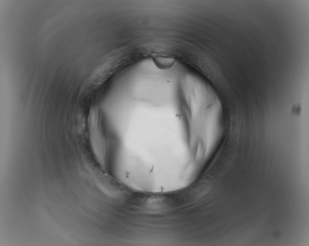 X0000110670173200906261305