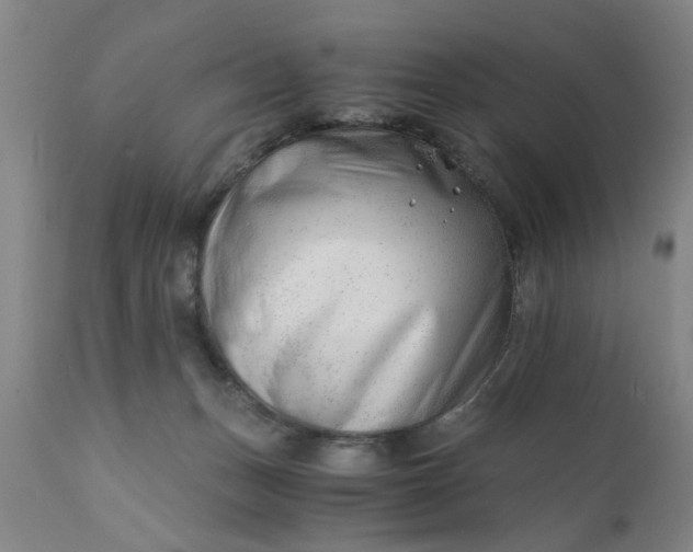 X0000110670175200906261305