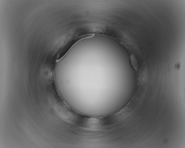 X0000110670176200906261305