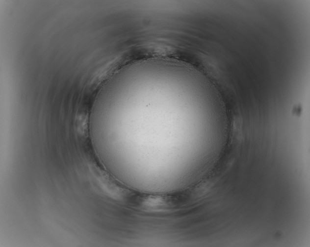 X0000110670177200906261305