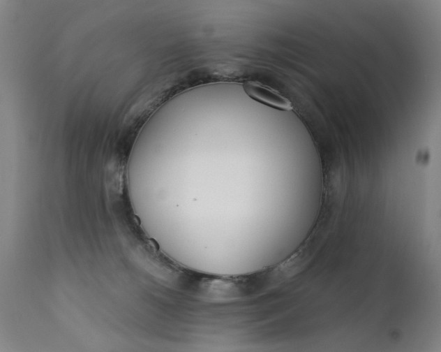 X0000110670180200906261305