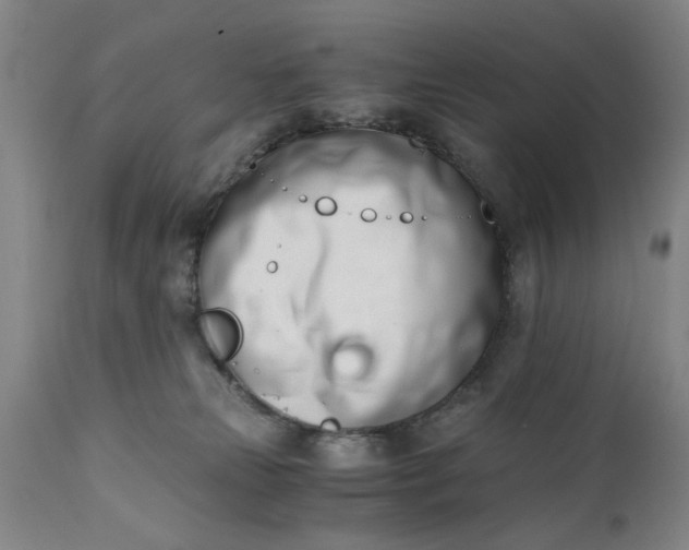 X0000110670181200906261305