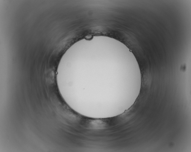 X0000110670183200906261306