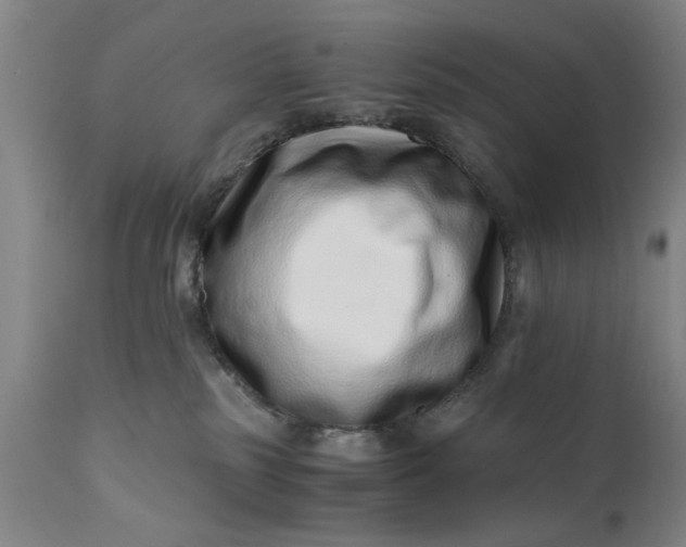 X0000110670185200906261306
