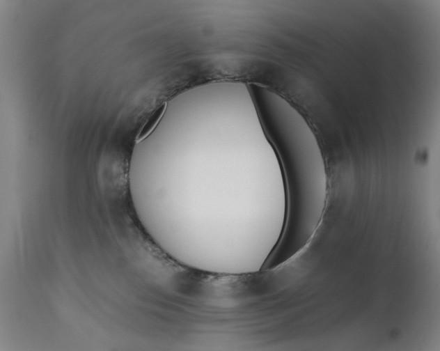 X0000110670186200906261306