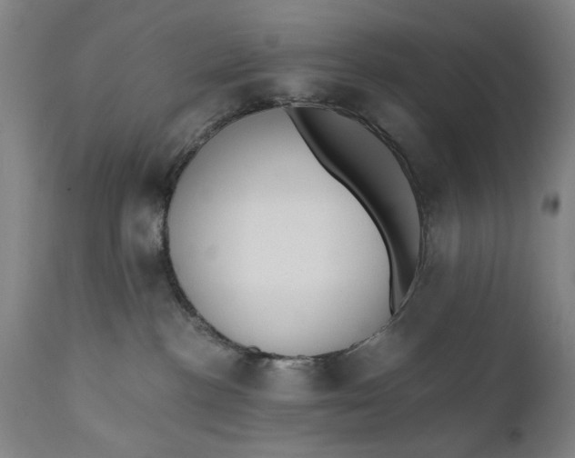 X0000110670188200906261306