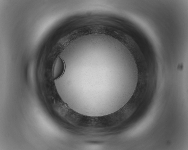 X0000110670189200906261306