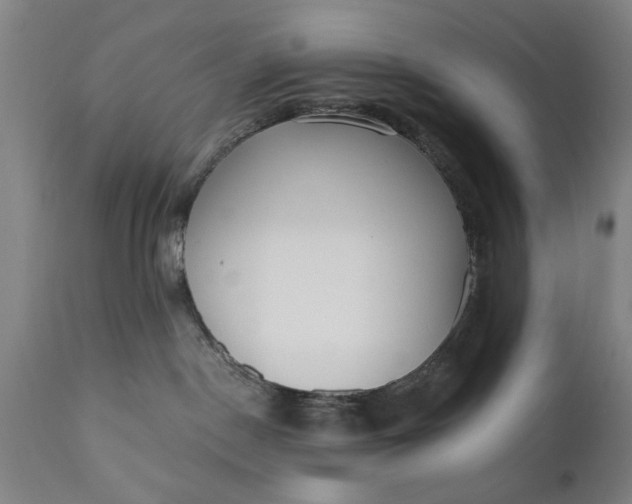 X0000110670190200906261306