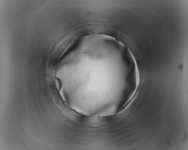 X0000110670191200906261306
