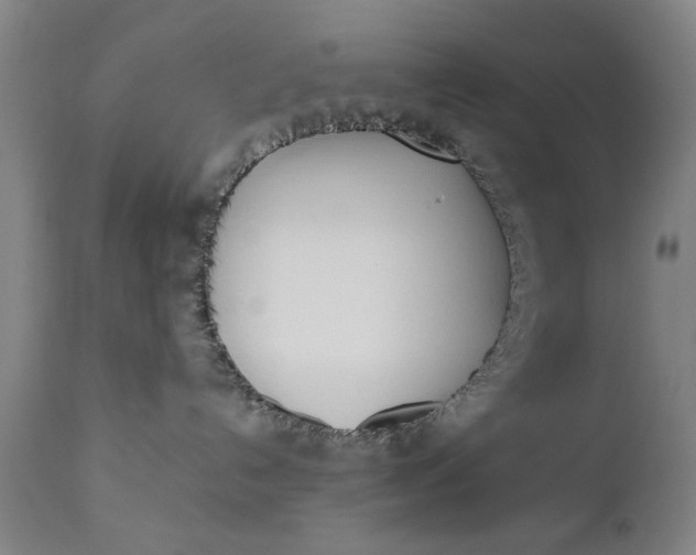 X0000110670192200906261306