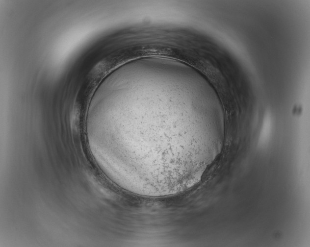 X0000110670195200906261305