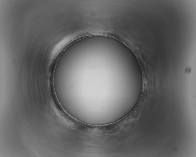 X0000110670197200906261305