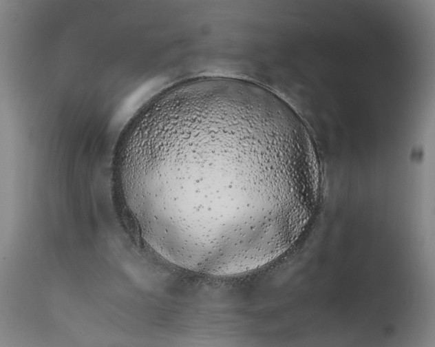X0000110670199200906261305