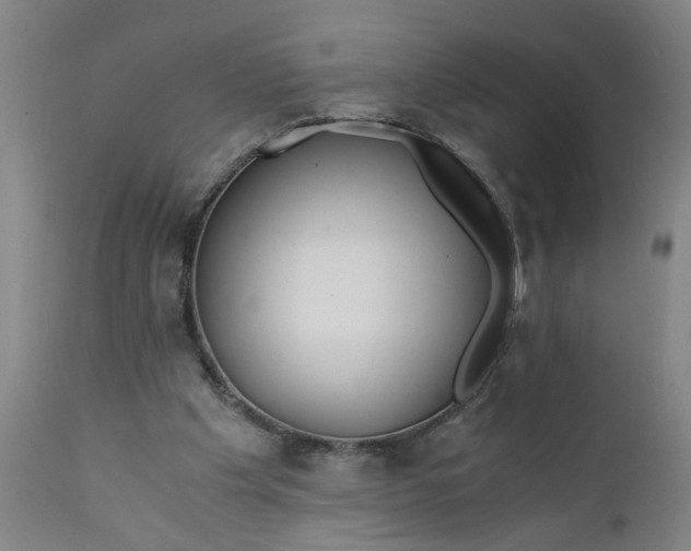 X0000110670201200906261305