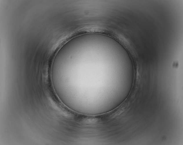 X0000110670202200906261305