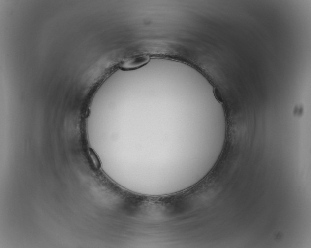 X0000110670207200906261305
