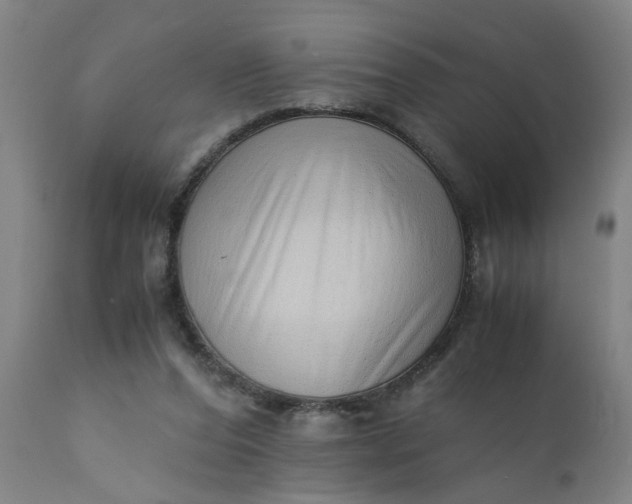 X0000110670208200906261305