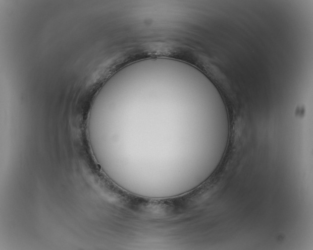 X0000110670209200906261305