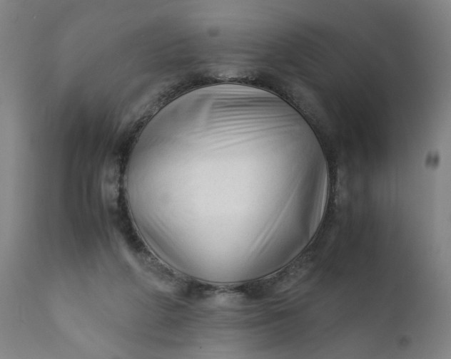 X0000110670210200906261305
