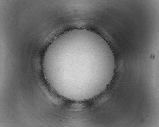 X0000110670213200906261305
