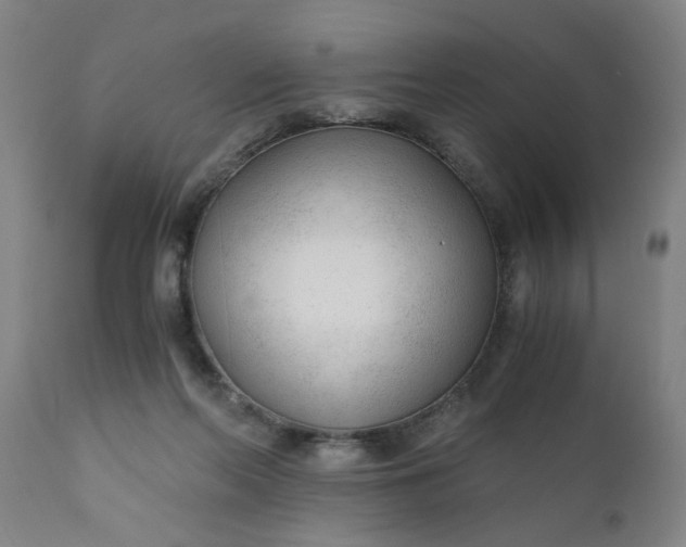 X0000110670214200906261305