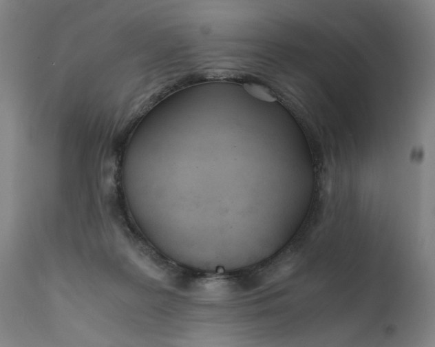 X0000110670219200906261305
