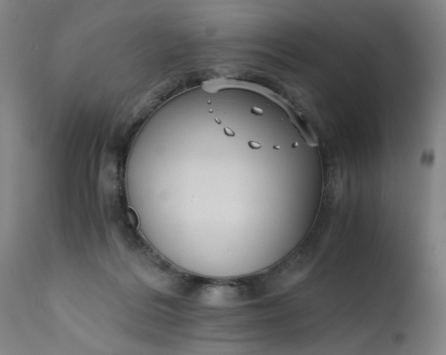 X0000110670220200906261305