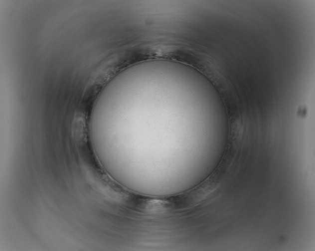 X0000110670222200906261305