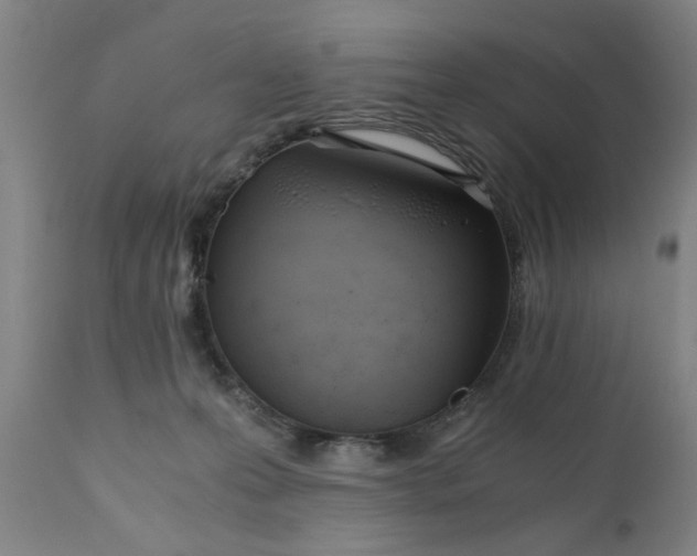 X0000110670223200906261305
